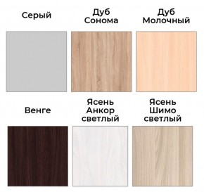 Шкаф-купе ХИТ 22-4-14-88 (420) в Пуровске - purovsk.mebel24.online | фото 4