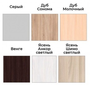 Шкаф-купе ХИТ 22-4-17-55 (420) в Пуровске - purovsk.mebel24.online | фото 3