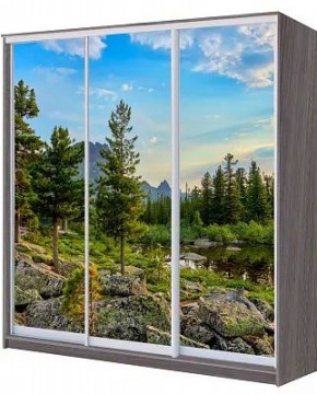 Шкаф-купе ХИТ 22-4-18/2-777 ПРИРОДА в Пуровске - purovsk.mebel24.online | фото