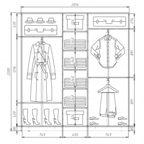 Шкаф-купе ХИТ 22-4-20-222 (420) в Пуровске - purovsk.mebel24.online | фото 2