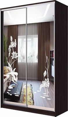 Шкаф-купе ХИТ 23-17-66 ЦАПЛИ в Пуровске - purovsk.mebel24.online | фото