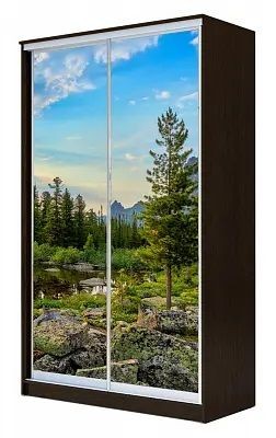 Шкаф-купе ХИТ 23-4-15-77 ПРИРОДА в Пуровске - purovsk.mebel24.online | фото