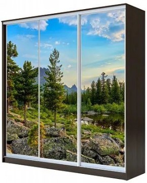 Шкаф-купе ХИТ 23-4-20-777 ПРИРОДА в Пуровске - purovsk.mebel24.online | фото