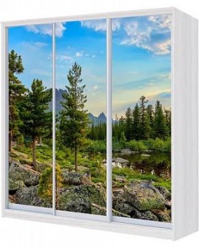 Шкаф-купе ХИТ 24-18/2-777 ПРИРОДА в Пуровске - purovsk.mebel24.online | фото
