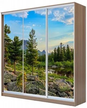 Шкаф-купе ХИТ 24-20/2-777 ПРИРОДА в Пуровске - purovsk.mebel24.online | фото