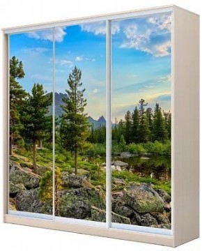 Шкаф-купе ХИТ 24-4-20-777 ПРИРОДА в Пуровске - purovsk.mebel24.online | фото