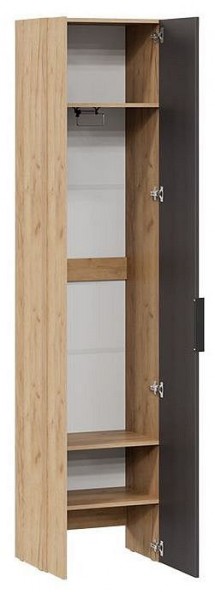 Шкаф платяной Асти в Пуровске - purovsk.mebel24.online | фото 2