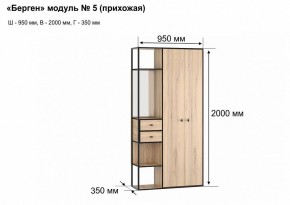 Шкаф платяной Берген-5 в Пуровске - purovsk.mebel24.online | фото 7