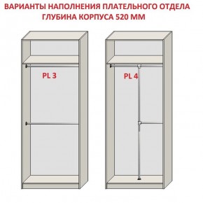 Шкаф распашной серия «ЗЕВС» (PL3/С1/PL2) в Пуровске - purovsk.mebel24.online | фото 10