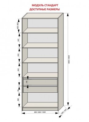 Шкаф распашной серия «ЗЕВС» (PL3/С1/PL2) в Пуровске - purovsk.mebel24.online | фото 13