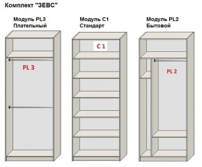 Шкаф распашной серия «ЗЕВС» (PL3/С1/PL2) в Пуровске - purovsk.mebel24.online | фото 2