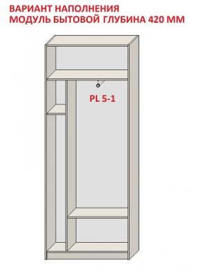 Шкаф распашной серия «ЗЕВС» (PL3/С1/PL2) в Пуровске - purovsk.mebel24.online | фото 4