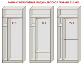 Шкаф распашной серия «ЗЕВС» (PL3/С1/PL2) в Пуровске - purovsk.mebel24.online | фото 5