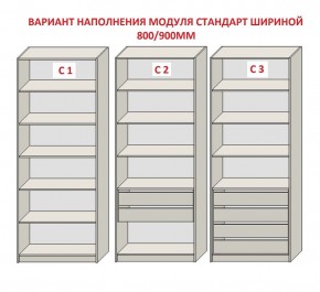 Шкаф распашной серия «ЗЕВС» (PL3/С1/PL2) в Пуровске - purovsk.mebel24.online | фото 6