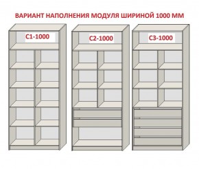 Шкаф распашной серия «ЗЕВС» (PL3/С1/PL2) в Пуровске - purovsk.mebel24.online | фото 7