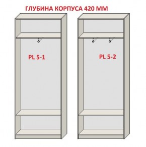 Шкаф распашной серия «ЗЕВС» (PL3/С1/PL2) в Пуровске - purovsk.mebel24.online | фото 8