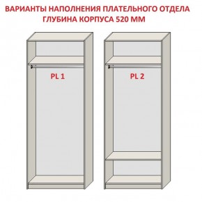 Шкаф распашной серия «ЗЕВС» (PL3/С1/PL2) в Пуровске - purovsk.mebel24.online | фото 9