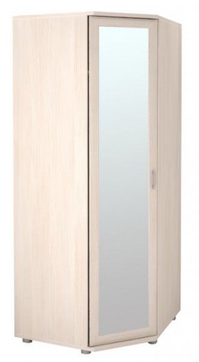Шкаф угловой для одежды Ника-Люкс 30 без зеркал в Пуровске - purovsk.mebel24.online | фото 1
