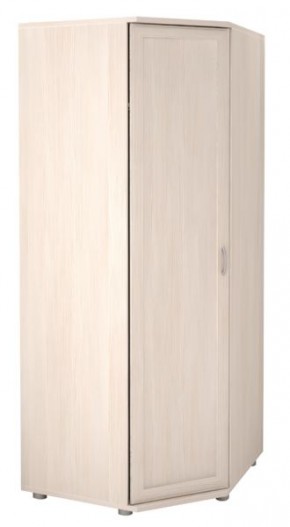 Шкаф угловой для одежды Ника-Люкс 30 без зеркал в Пуровске - purovsk.mebel24.online | фото 2