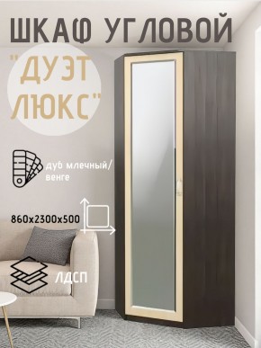 Шкаф угловой Дуэт Люкс с зеркалом в Пуровске - purovsk.mebel24.online | фото 5