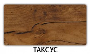 Стол обеденный Трилогия пластик Таксус в Пуровске - purovsk.mebel24.online | фото 18