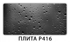 Стол раздвижной-бабочка Бриз с фотопечатью Доска D110 в Пуровске - purovsk.mebel24.online | фото 11