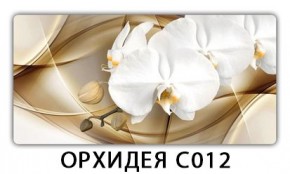 Стол раздвижной Трилогия с фотопечатью Доска D110 в Пуровске - purovsk.mebel24.online | фото 13