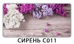 Стол раздвижной Трилогия с фотопечатью Доска D110 в Пуровске - purovsk.mebel24.online | фото 16