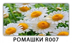 Стол раздвижной Трилогия с фотопечатью Доска D113 в Пуровске - purovsk.mebel24.online | фото 15