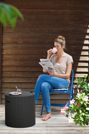 Столик-холодильник Кул-Стул (Cool stool) коричневый в Пуровске - purovsk.mebel24.online | фото 2