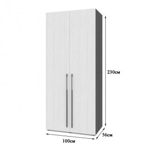 СТОУН С22 Шкаф 2-х створчатый (золотой дуб/графит) в Пуровске - purovsk.mebel24.online | фото 2