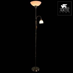 Торшер с подсветкой Arte Lamp Duetto A9569PN-2AB в Пуровске - purovsk.mebel24.online | фото 3