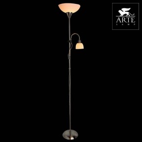 Торшер с подсветкой Arte Lamp Duetto A9569PN-2SS в Пуровске - purovsk.mebel24.online | фото 3