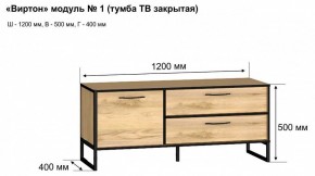 Тумба под ТВ Виртон-1 в Пуровске - purovsk.mebel24.online | фото 10