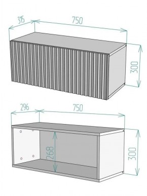 Тумба подвесная под ТВ LINES MTV1-MA 750 Белый матовый (Белый-M 10.1.2) в Пуровске - purovsk.mebel24.online | фото 4