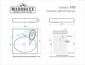 Умывальник над стиральной машиной (600*545*80) Смайл V55D1 (белый) с кронштейном без сифона (V55D1) в Пуровске - purovsk.mebel24.online | фото 2